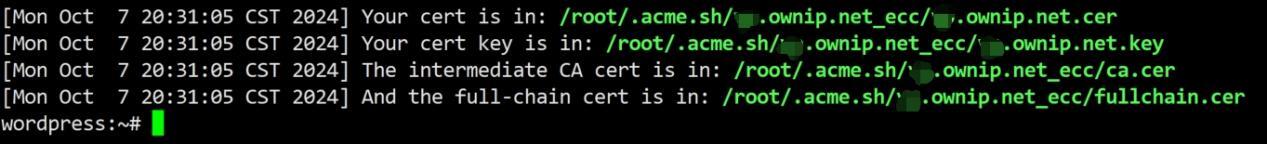 RouterOS容器安装Wordpress全记录